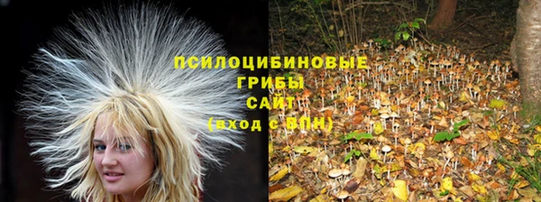 ECSTASY Новозыбков