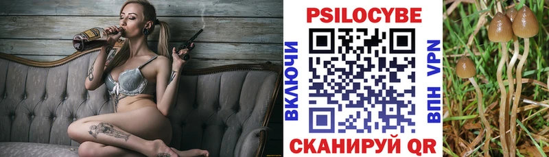 сколько стоит нарко площадка Telegram Псилоцибиновые грибы мухоморы Советск